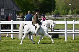 A19_2667 2026