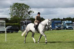 E36_0704 2026