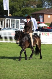 W33_0753 2026