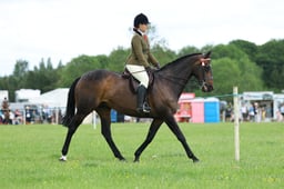 34 SEIB SFAS HOYS Hack & RH