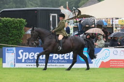 Hunter Show