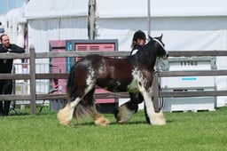 S28_8439 2026