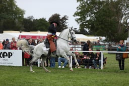 E30_5207 2026