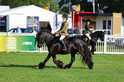 H33_3752 2026