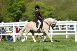 H19_0577 2026