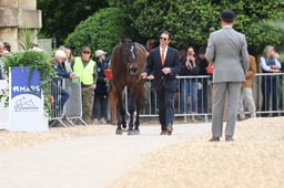 52 ROYAL ENCOUNTER