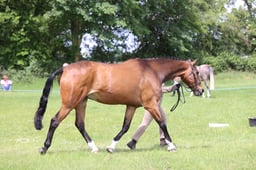 J36_6824 2026