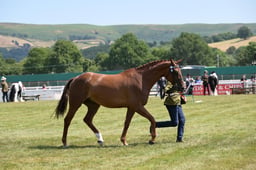 N68_5989 2026