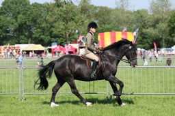 C33_0815 2026