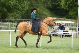 E30_5347 2026