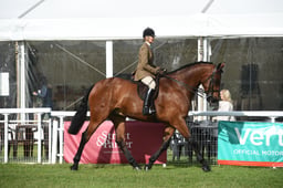 D42_0990 2026