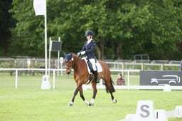 E29_2298 2026