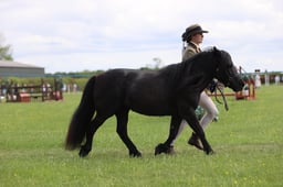 J36_7410 2026