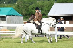 Z41_0042 2026