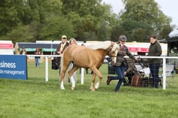 E29_0040 2026