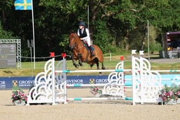 H48_2620 2026