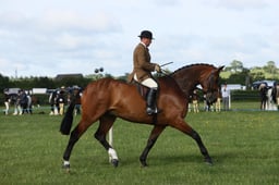 E36_0412 2026