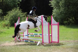 504 Micko 2