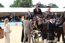 Horse Four-in-Hand Presentation