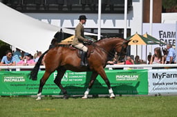 A68_1644 2026