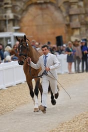 A22_6683 2026