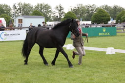 W29_0649 2026