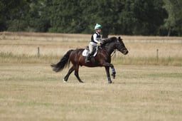 B57_6428 2026