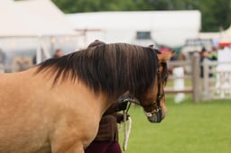 S29_0464 2026