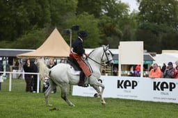 E30_5204 2026