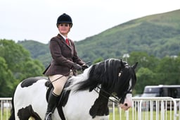 H231 HOYS Ridden Veteran