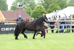 W29_0885 2026