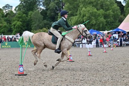 A29_2925 2026