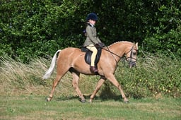 S60_0057 2026