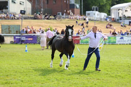 E69_1052 2026