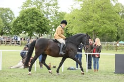 E30_3150 2026