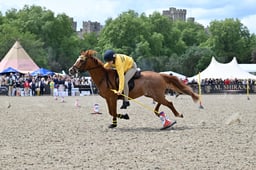 A31_1851 2026