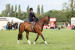E36_2280 2026
