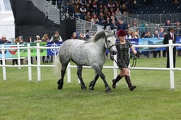 M44_0776 2026