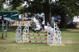 312 Ballysalagh Lady