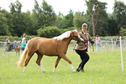 45-40 Welsh B Championships