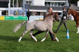 C69_4116 2026