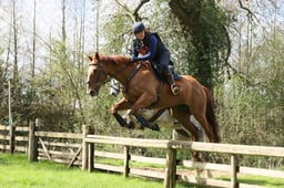 X14_0626 2026
