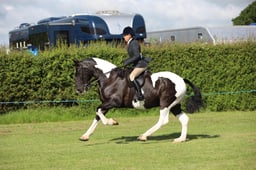 W36_0308 2026