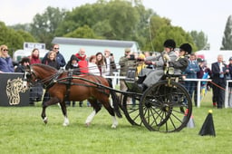 E29_1630 2026