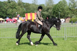 C33_0789 2026