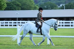 H20-16 M&M NOVICE RIDDEN CHAMPIONSHIP