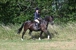 S60_0248 2026
