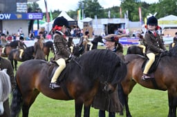 D46_2470 2026