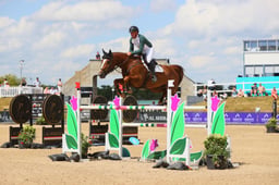 Csf Thomascourt Zena