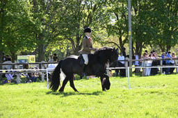 S19_8540 2026